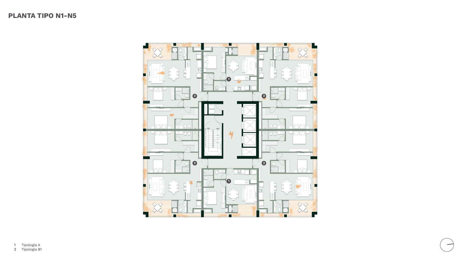 Bulnesia Plantas Tipo N1-N5