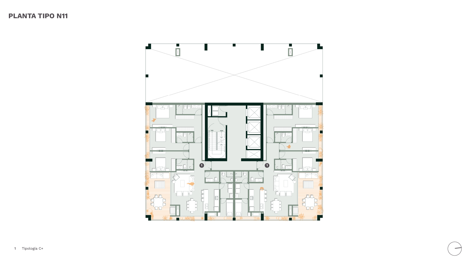 Bulnesia Plantas Tipo N11