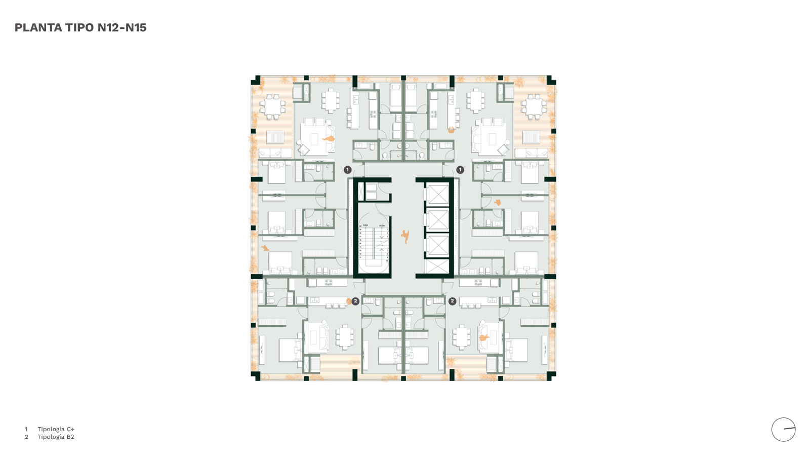 Bulnesia Plantas Tipo N12-N15