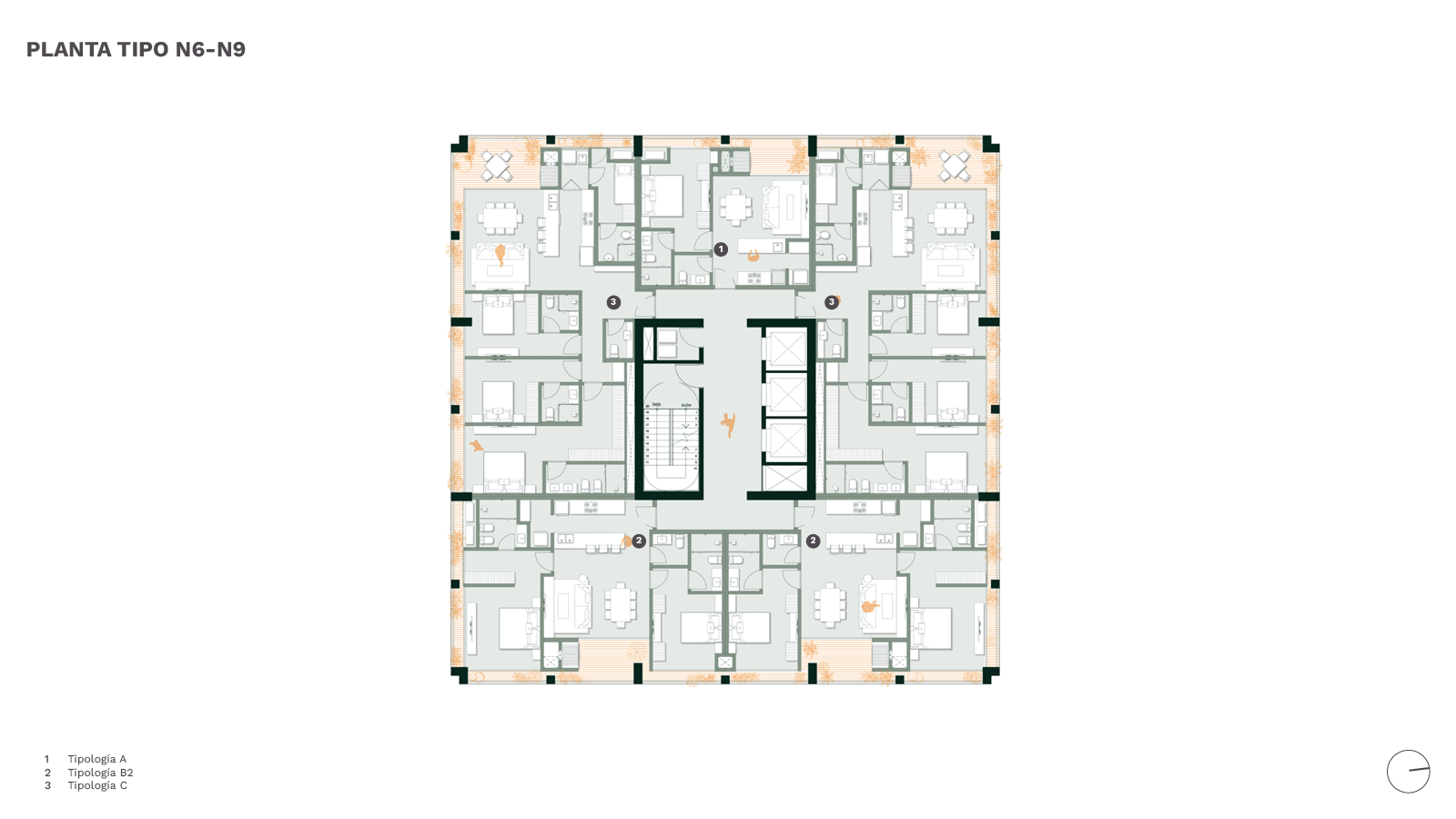 Bulnesia Plantas Tipo N6-N9