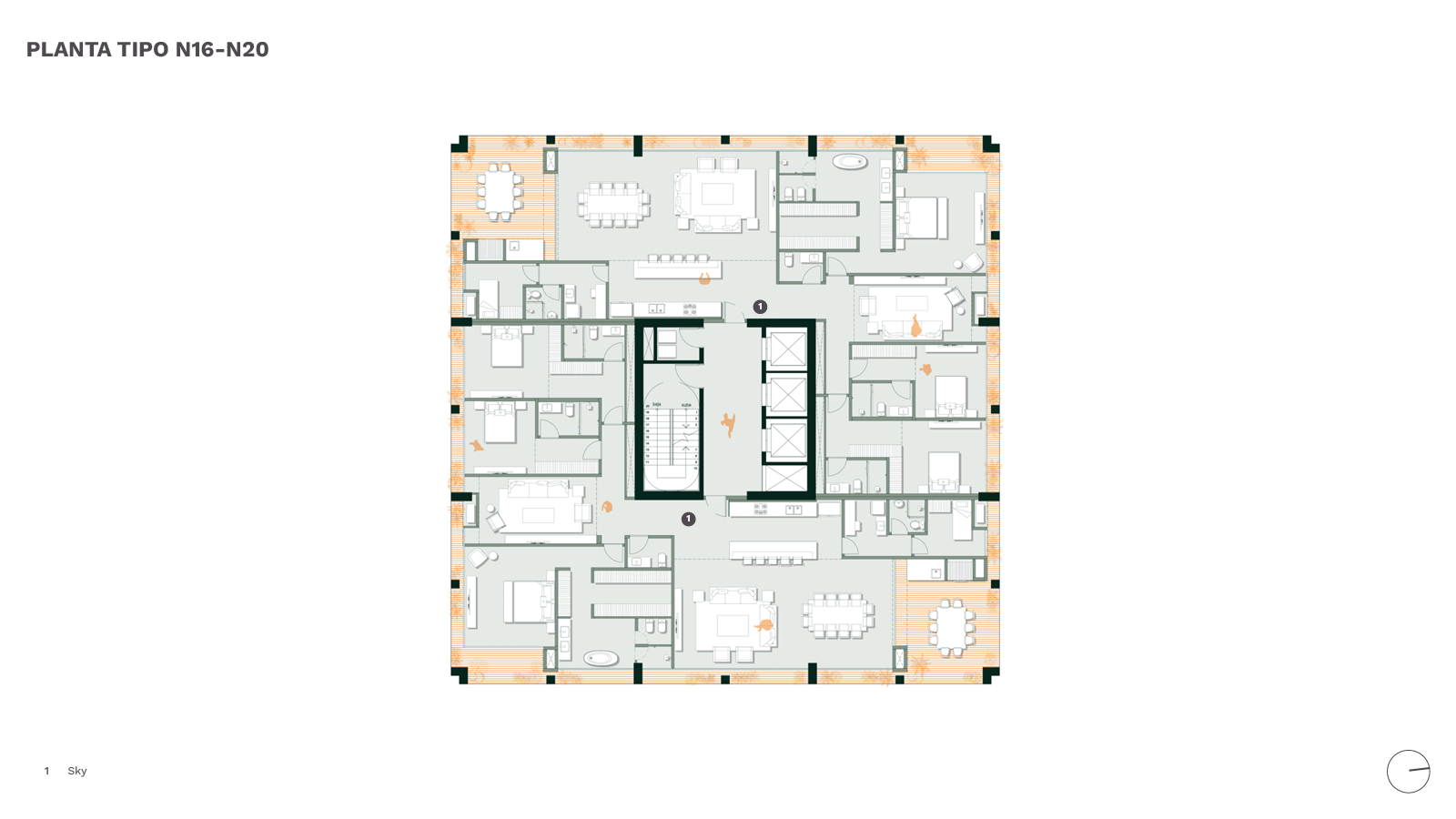 Bulnesia Plantas Tipo Sky N16-N20