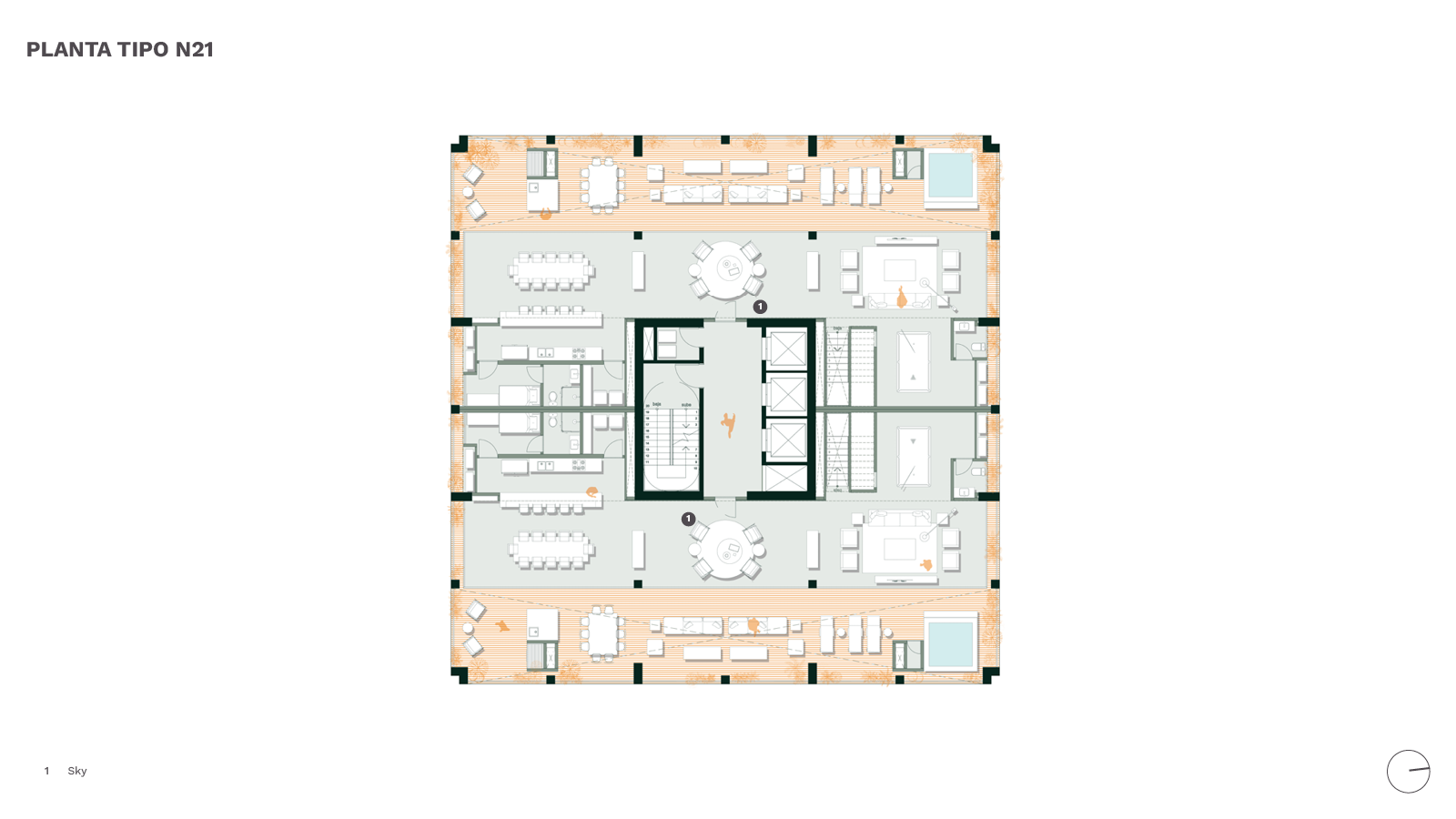 Bulnesia Plantas Tipo Sky N21