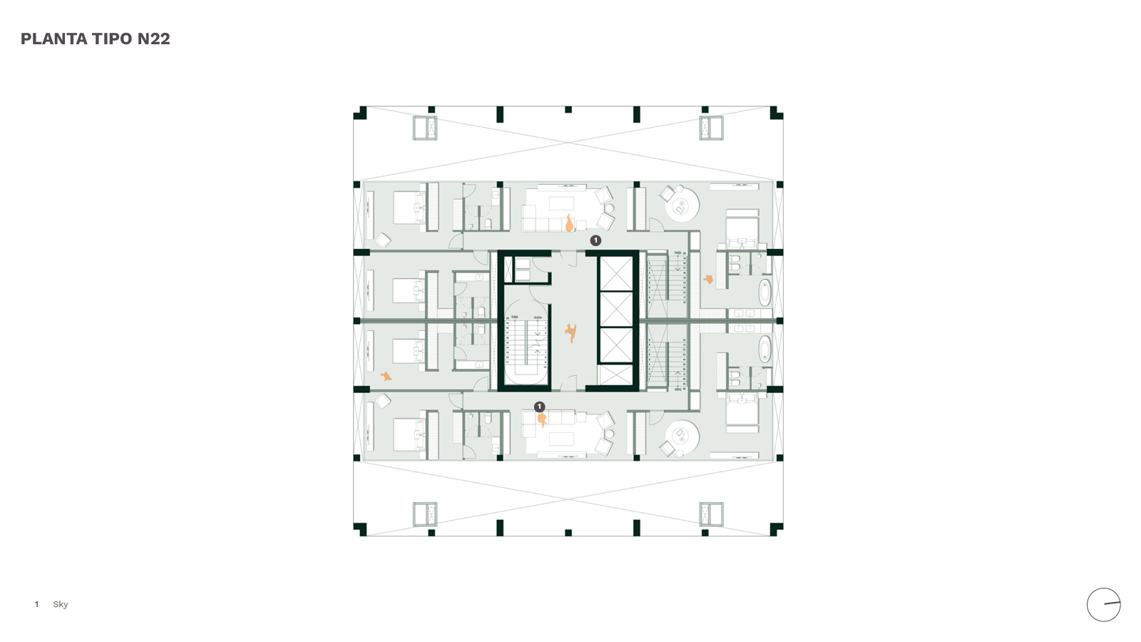 Bulnesia Plantas Tipo Sky N22
